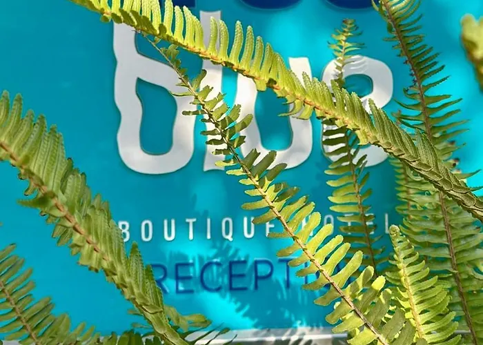 Hotel True Blue Boutique 3*
